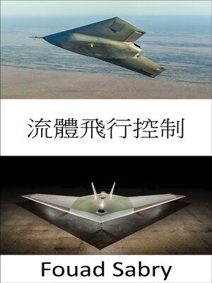 cover image of 流體飛行控制